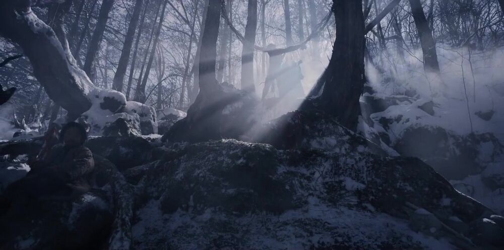 gannibal bosco luce fredda gannibal bosco luce fredda